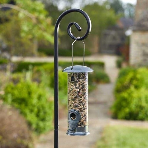 Wild bird feeding station - bird,