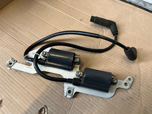 Aprilia rsv1000 tuono right - rsv1000,