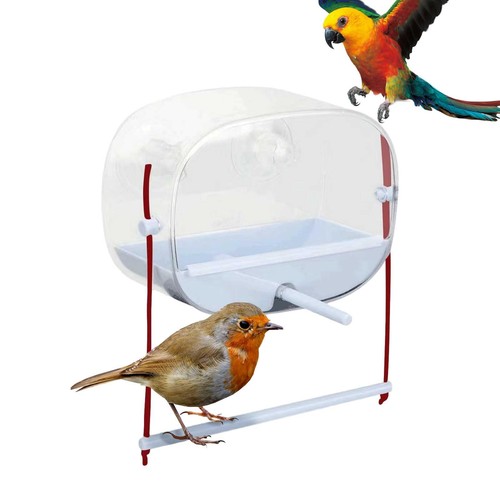 Window bird feeder birds - window,