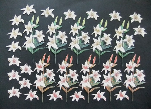 Set lily die - set, die-cuts