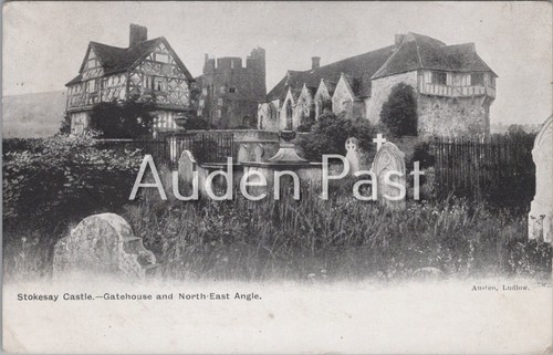 Vintage stokesay castle - vintage,