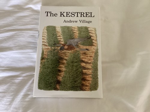 Poyser the kestrel - poyser,