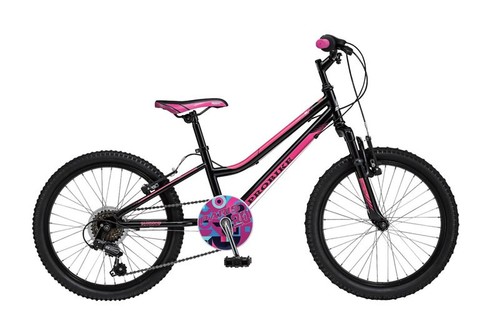 Probike paris wheel 6 - probike,