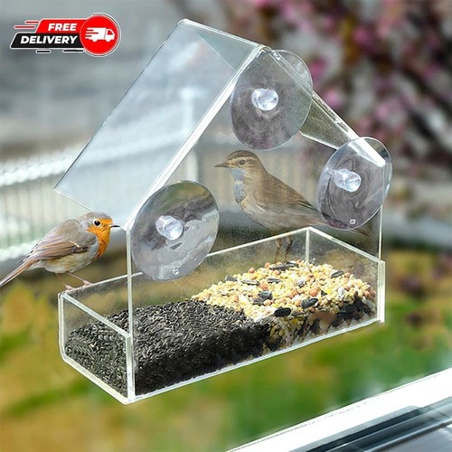 House transparent window - window, wild