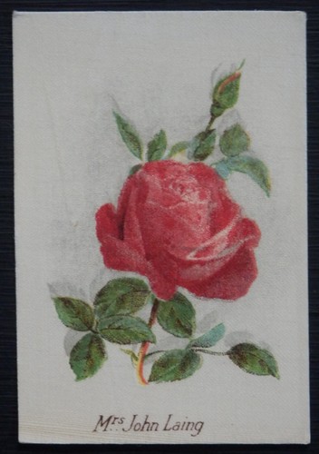 Mrs john laing - mrs,
