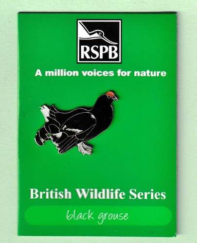 Rspb pin badges black grouse - pin,