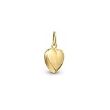 Amberta Allure Women 9ct Gold Pendant: 9ct Gold Hollow Heart Pendant