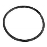 Swimmng Pool Starite 5P2R Pump Lid O-Ring