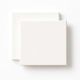 Blank Canvas Panels for Painting Primed Cotton Canvas Boards for Acrylic Oil Watercolor & Mixed Media Acid Free Nonwarping Artist Canvas Beginners & Professionals 20 X 20 Cm Pack of 2 (1 Count)