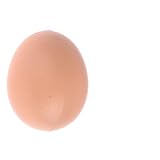 Charming Easter Eggs, DIY Dummy Eggs plastic Fake Eggs Simulation Chicken Duck Goose Egg, Easter Egg Toy Decorations for Table, Indoor & Outdoor Use