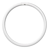 Crompton Lamps Circular Fluorescent Light Bulb, GR10q, 60 W