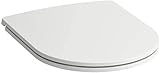 LAUFEN PRO Slim Flat Toilet Seat with Removable Lid with Soft-Close Mechanism, 898966000001
