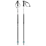 ATOMIC Unisex - Adult Head Supershape Team Ski Poles, Black/White/Blue, Adjustable