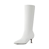 DREAM PAIRS Women's Knee High Kitten Heel Boots Sexy Pointed Toe Fashion Long Tall Boots,Size 9,White,DWUMKB2507