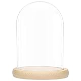 Belle Vous Large Glass Dome Cloche Bell Jar with Natural Wooden Base - 20cm/7.87 Inches - Clear Decorative Tabletop Display Case with Tray for Fairy Lights, Centrepieces and Antiques