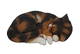 Vivid Arts Real Life Sleeping Cat Tortoiseshell XRL-ZC32-B