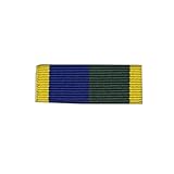 Wyedean Stores 32mm Efficiency Medal T&AVR 1969 Medal Ribbon Slider