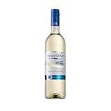 Two Oceans Sauvignon blanc 2021, 75cl | South African Sauvignon Blanc White Wine