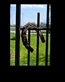 Lucky Old Horseshoe Journal Notebook Diary Blank book