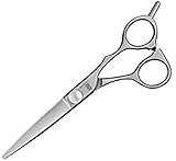 Kasho Basic Impression KBP 55OS Basic Pro Hairdressing Scissors 5.5 Ergonomic/Offset