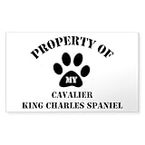 CafePress My Cavalier King Charles Span Sticker (Rectangular Rectangle Bumper Sticker Car Decal