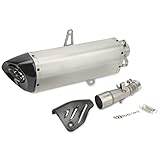 Motorcycle Exhaust Muffler Rear Pipe with Carbon Fiber Heat Shield Replacement for ITALJET Dragster 125 200 (Titanium Color Tail Pipe)