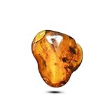 Baltic Amber with a Berry, a Moth, two Mosquitoes, Ant Insect Natural stone - 5.9g