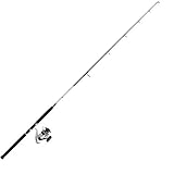 Daiwa COMBO NULL SET JIGGING DW04 NULL - 180, 100-300