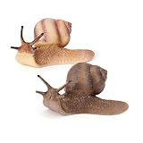 Lezevn 2Pcs Snail Model Realistic Snail Figurine Miniatures Simulation Snail Adornment Forest Animal Figures Educational Tool for Kids Early Educational