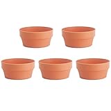 5pcs Imitation Terracotta Shallow for Succulent Cactus Plant Containers Indoor Garden Bonsai Pots Planter Flower Container 16cm