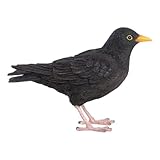 MAISONICA Black Bird Lifelike Ornament Statue Garden Outdoor Indoor H12cm