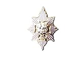 Worcestershire & Sherwood Foresters Lapel Pin Military Badge