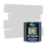THE ONE All-In-One Paint & Primer - Light Grey Satin, 250 ml | Multi-Surface 1 Coat Formula | Easy Indoor & Outdoor Decorating for Home & Garden Walls, Floors & Furniture | Water-Based & Low VOC
