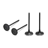 TARAZON 2pcs Intake Valves & Exhaust Valves OEM 12911-10H00 12912-10H00 for Suzuki RMZ 250 2007-2009