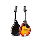 Mandolin For Beginners Electric Mandolin Spruce 8 Strings Highgloss Hollow F Sound Hole Sunburst Mandocello Instrument Mandolina
