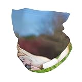 gawuoab English BullDogs Tired Dogs Lawn Pets English Warmer Gaiter Fleece Winter Neck Face Mask Cover, Windproof Cold Weather Scarf