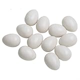 Besttoolifes 12Pcs White Plastic Simulated Pigeon Eggs, Realistic Fake Eggs For Pigeon Hatching And Training, Lasting Reusable Bird Breeding Accessories