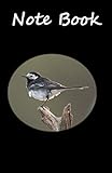 Note Book - Pied wagtail