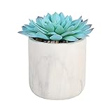 Sleepdown Halo Blue Artificial Faux Plant Succulent White Pot for Home Office Bathroom Decor Indoor Decoration Aesthetics, Blue Succulent Pot - 901, Small