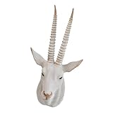 MagiDeal Antelope Head Statue Animal Head Sculpture,Wall Art Decorative Ornament Resin Figurine for Housewarming Living Room Entrance, White