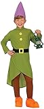 FIESTAS GUIRCA Fairy Tale Dwarf Boys Fancy Dress Costume - Forest Gnome Kids Fancy Dress Costumes Boys 7-9 years