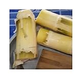 15x Dendrocalamus sericeus Giant Bamboo Garden Plants Seeds ID320 Seeds Plants Shop Seed Bench Pullingen Patrik Ipsa