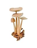 My Family House Wooden Carved Mushroom Ornament Group of 4 Mushrooms Parasite Wood Fair Trade Toadstools Fungi