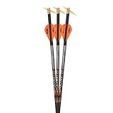 RAVIN Crossbows Match WTD Lighted Bolts 400Gr .001 3PK