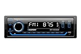 Blaupunkt BPA 1124 DAB BT 1-DIN Car Radio, DAB+, Bluetooth, USB, Aux Input, Sub-Out, Multicoloured, 4 x 50 Watt, 12 V