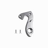 TerchPilet Rear Derailleur Hanger 138 with Bolts, Silver Aluminum Alloy Replacement for Pinarello Dogma F8 F10 F12 FP2 FP3 FP7 Marvel Paris Prince Razha FCX Eddy Merckx Compatible Bikes