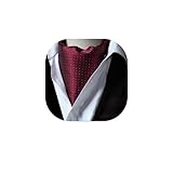 HISDERN Men's Burgundy Cravat Wedding Polka Dot Ascot Tie Classic Jacquard Woven Business Cravats