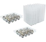 RECHCIGA 50 Pack Quail Egg Boxes 12 Grids Quail Egg Cartons PVC Transparent Quail Egg Boxes Reusable Quail Egg Holder with Cover for Quail Egg Fridge Storage Pigeon Egg Container Bulk Egg Display