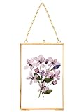REDHUGO Hanging Pressed Flower Frames, Double Glass Floating Picture Frame Handmade, Glass Frame for Pressed Flowers, Vintage Brass Picture Frame for Artwork Wall Display Mount, Gold