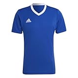 adidas Men's Entrada 22 Jersey, Royal Blue, M